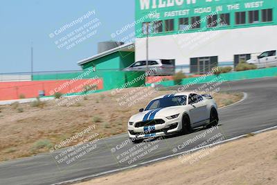 media/May-07-2022-Cobra Owners Club of America (Sat) [[e681d2ddb7]]/Blue/Session 1 (Turn 4)/